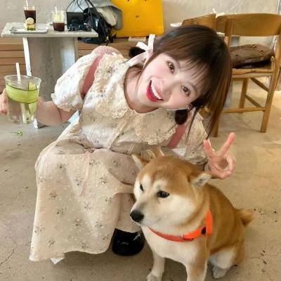 分享视界